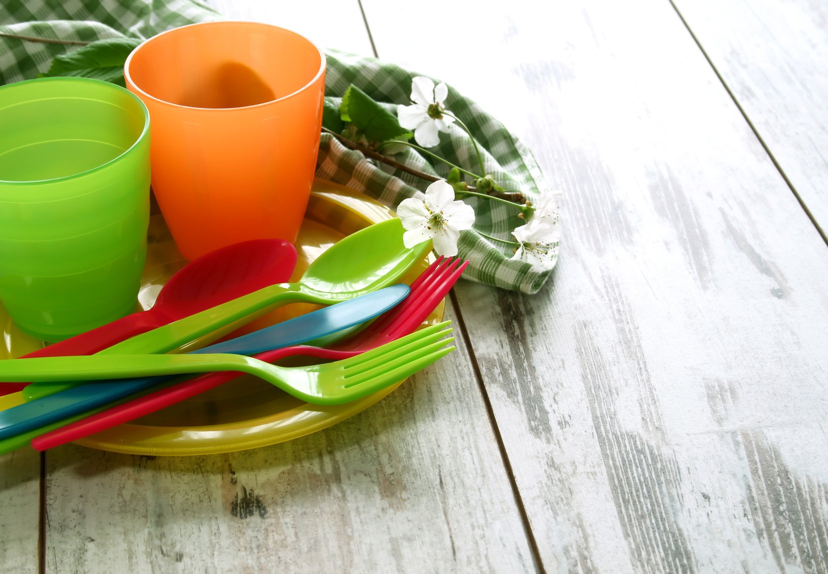 Picnic plastic dishware on wooden boards