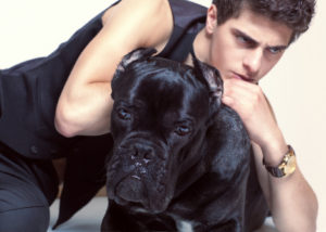 emotional  man with dog cone corso