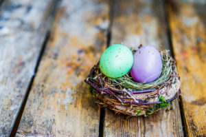 Easter eggs in the nest on rustic wooden background