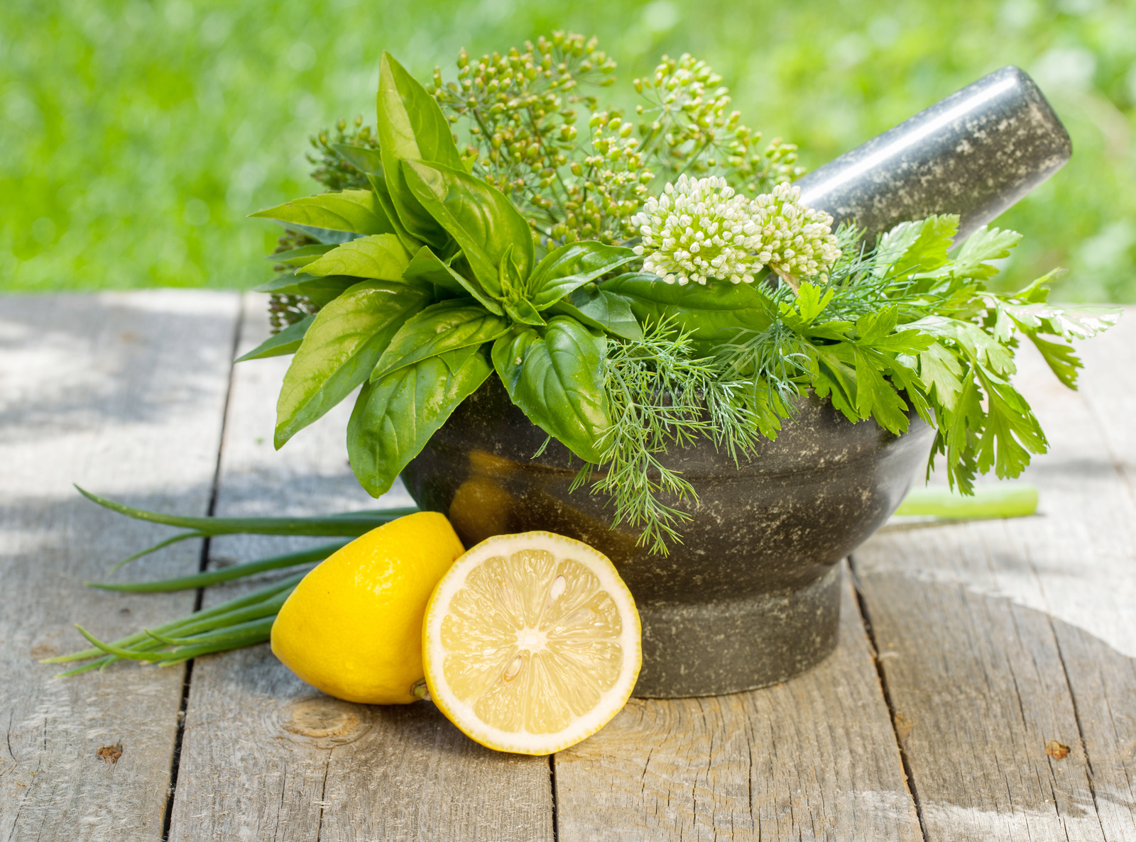 Fresh herbs in mortar