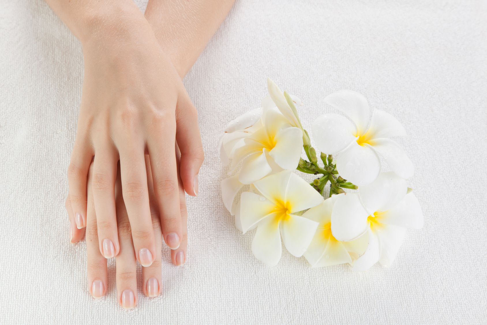 Beautiful woman hands are on a towel