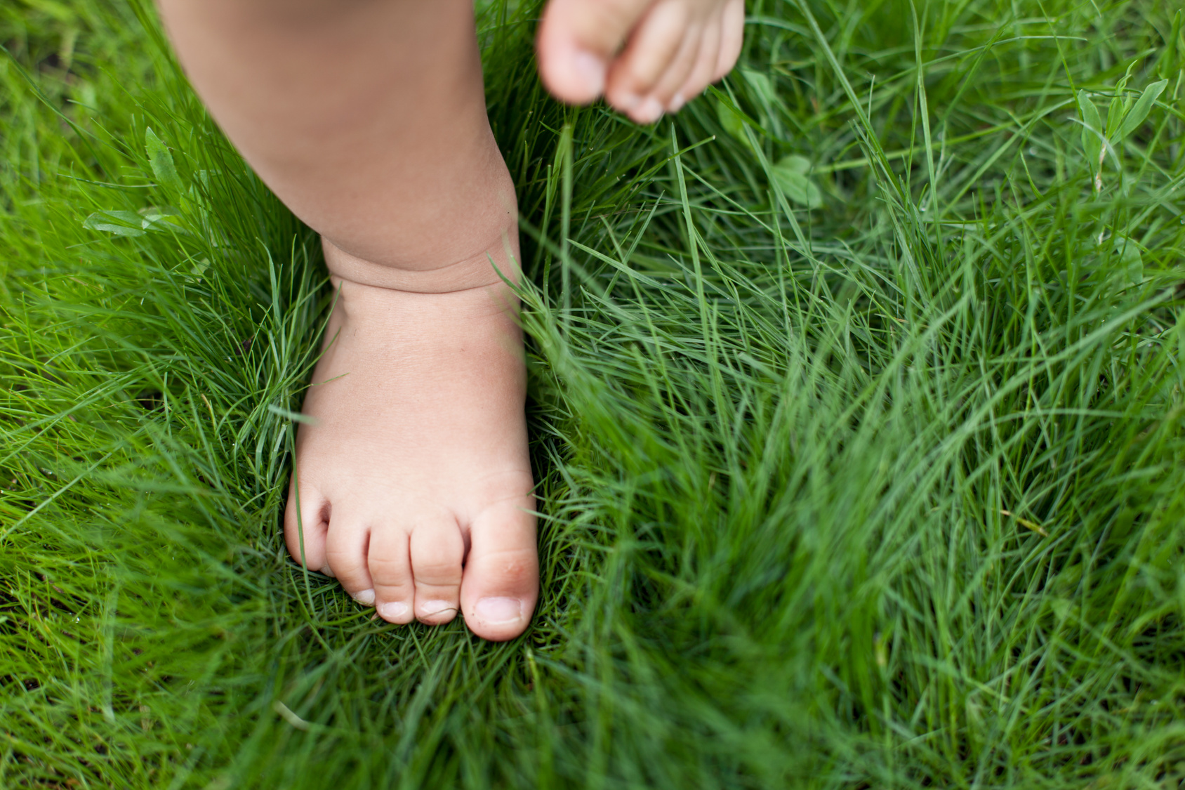 Small cute baby feet on the grass.