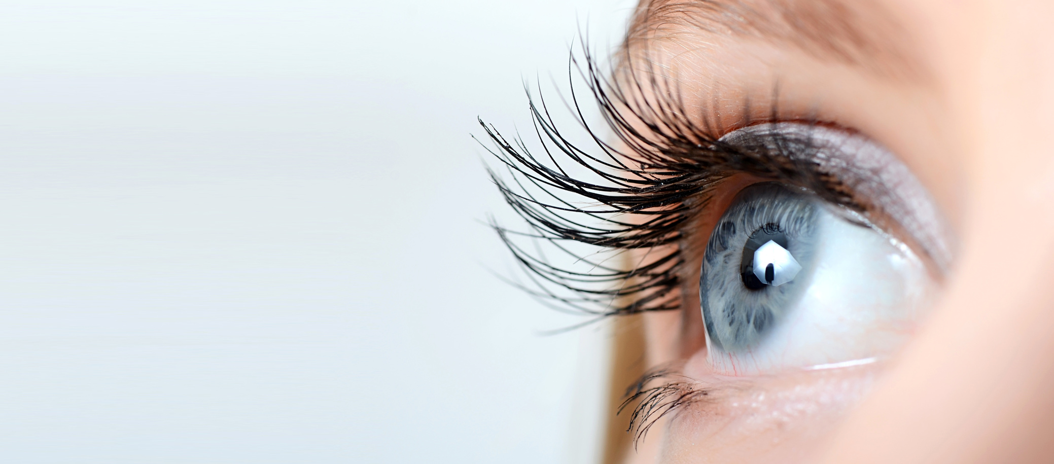 Female eye with long eyelashes close-up