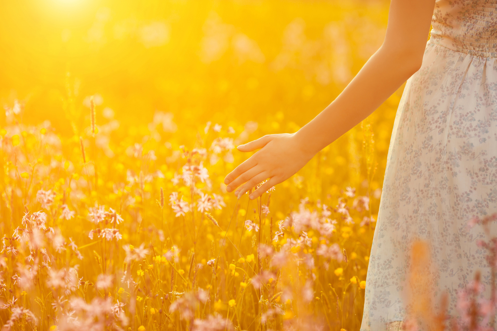 Flowers and the woman palm in the field