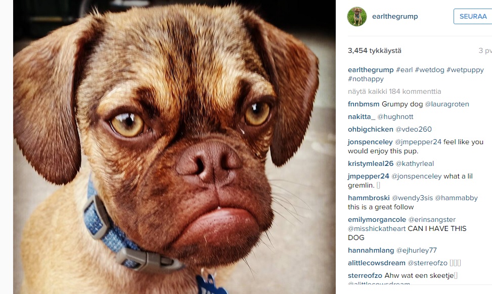 earlthegrump