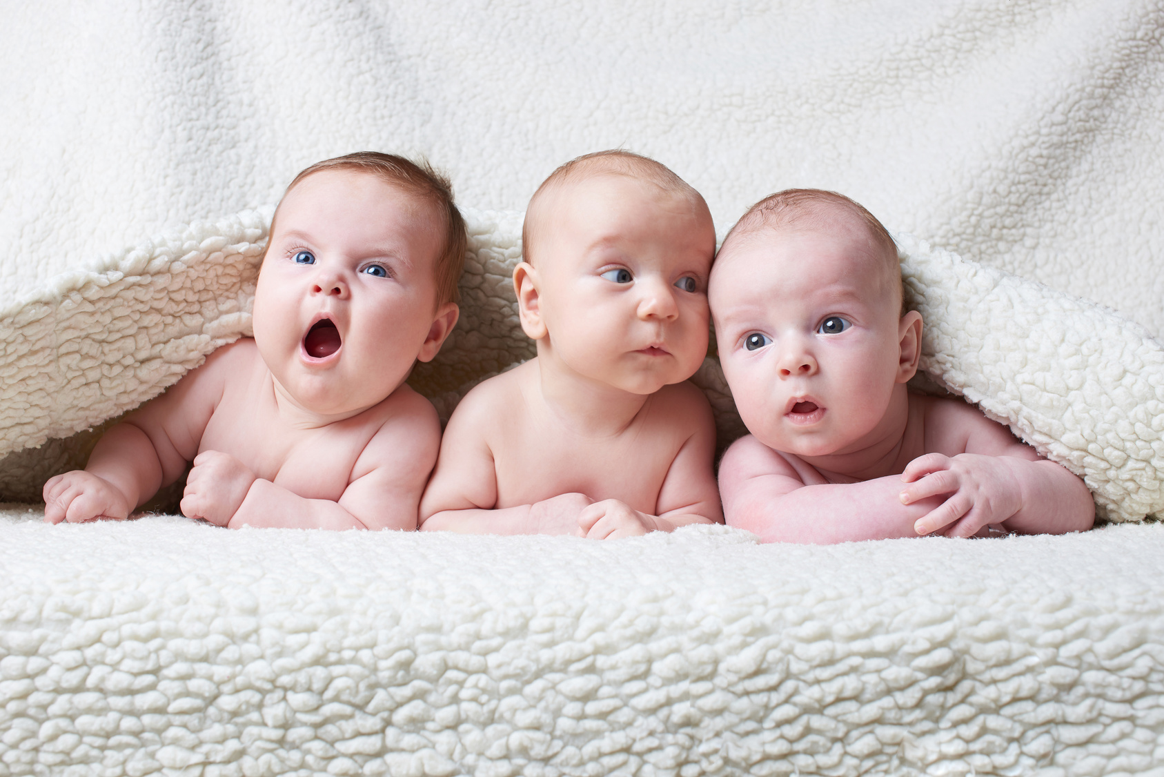 cute babies on light background