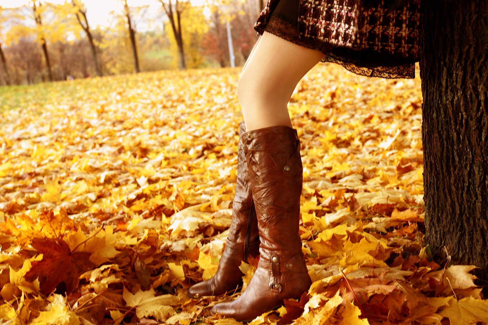 beautiful legs in higt leather boots