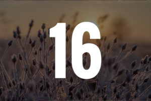 Joulukalenteri2015Luukku16