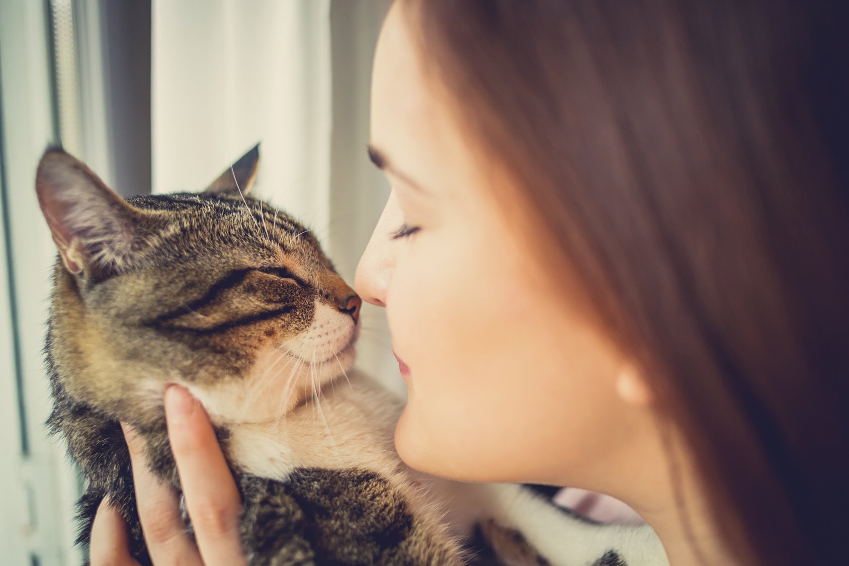 Pets Care.Young woman holding cat home.Cute cat in woman hands.Animal Love.Cat lover.Frienship.