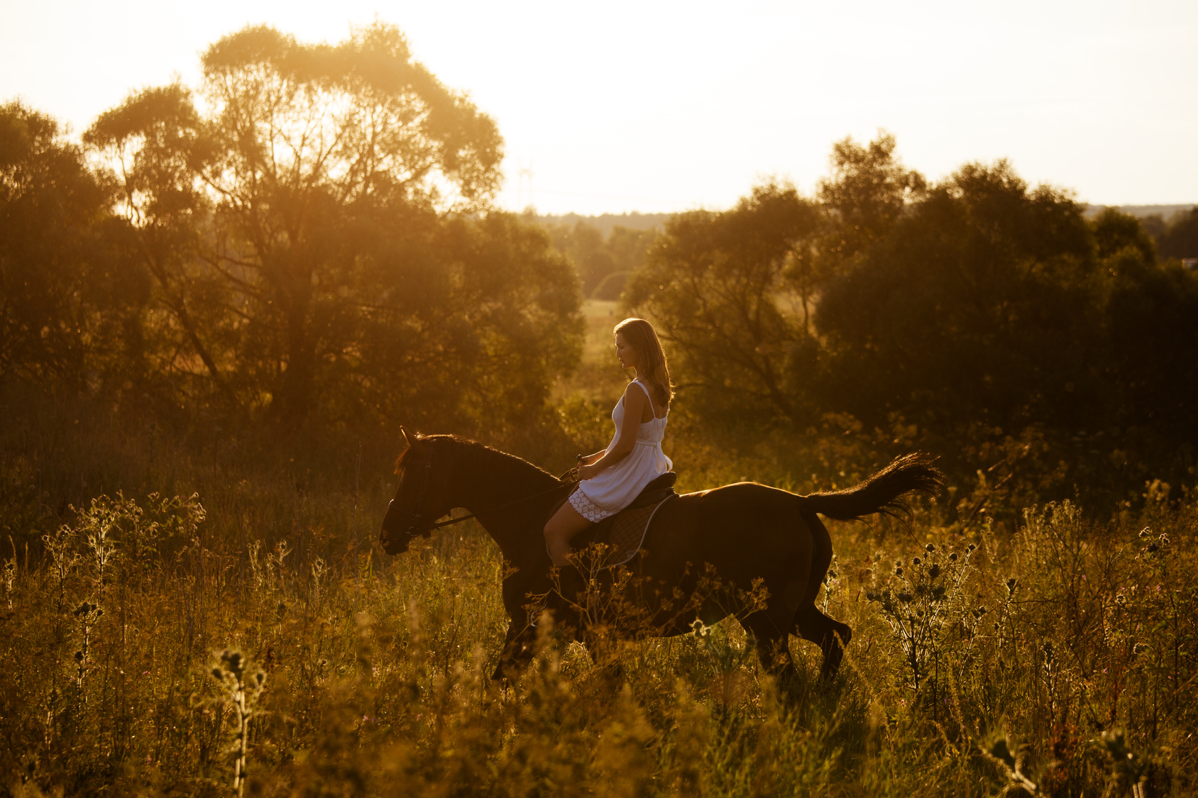 Girl in white dress on a horse