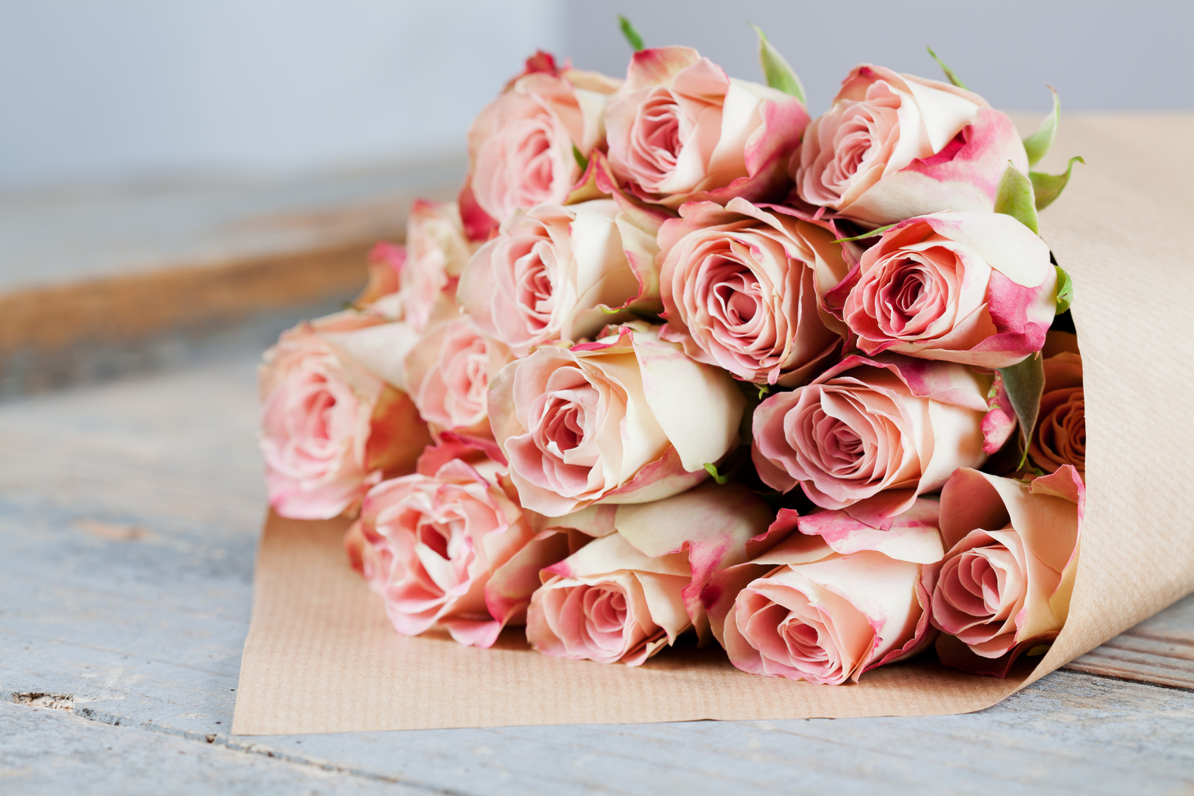 Beautiful roses