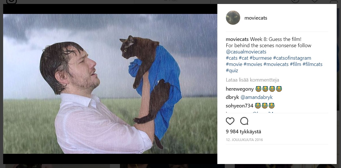 moviecatsnotebook