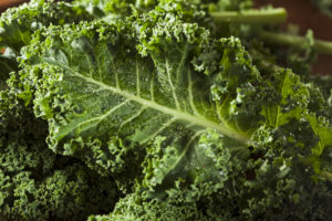 Healthy Raw Green Kale
