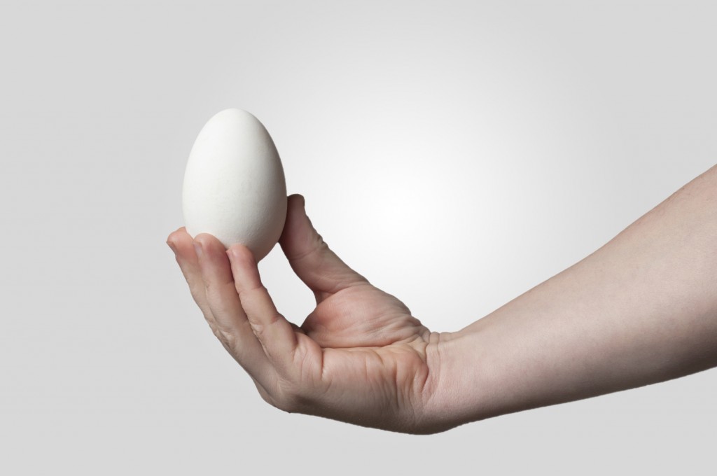 Hand holding goose egg