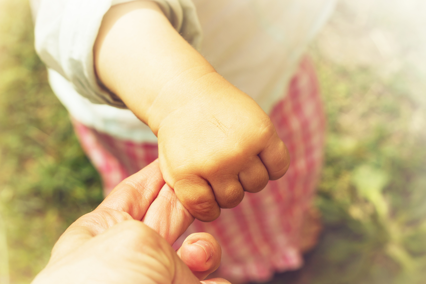 Parent holds the hand of a small child