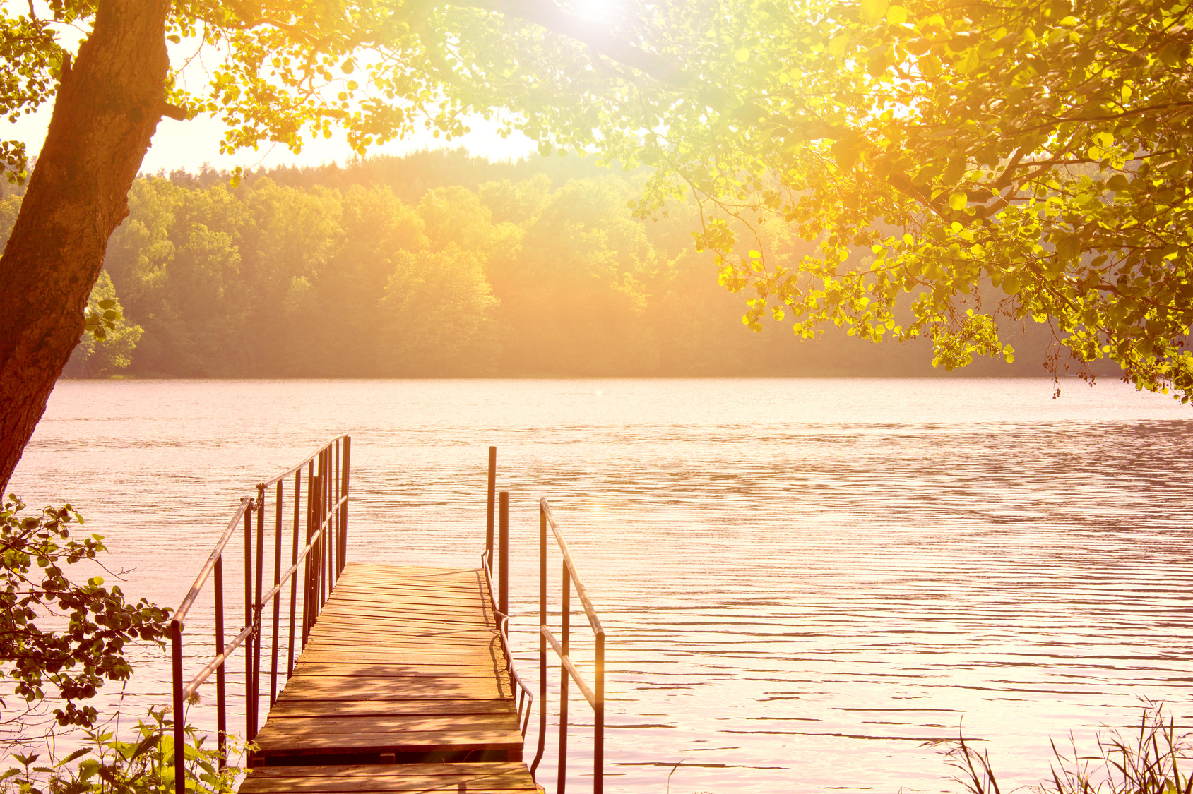 Lake and trees.