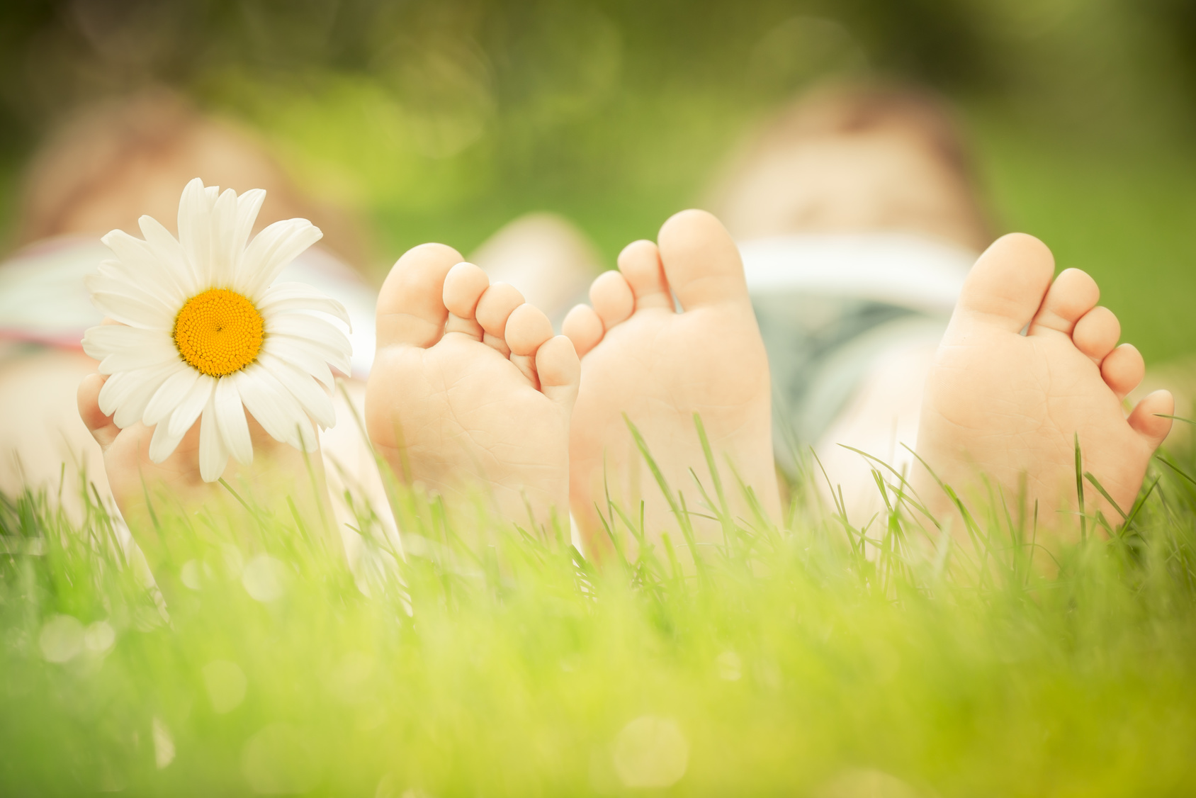 Family lying on grass