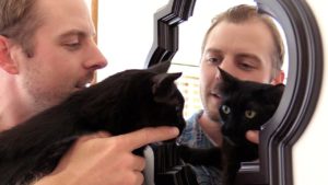 10 asiaa, jotka suurin osa kissanomistajista on tehnyt – katso samaistuttava video