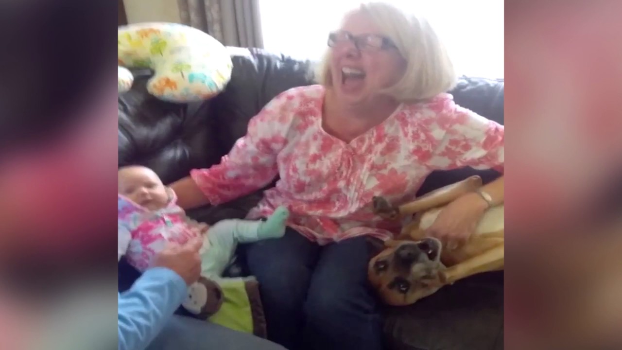 Hulvaton video: Koira haluaa varastaa isoäidin huomion vauvalta itselleen