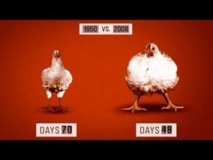 Video: 10 shokeeraavaa faktaa, jotka saattavat tehdä sinusta kasvissyöjän