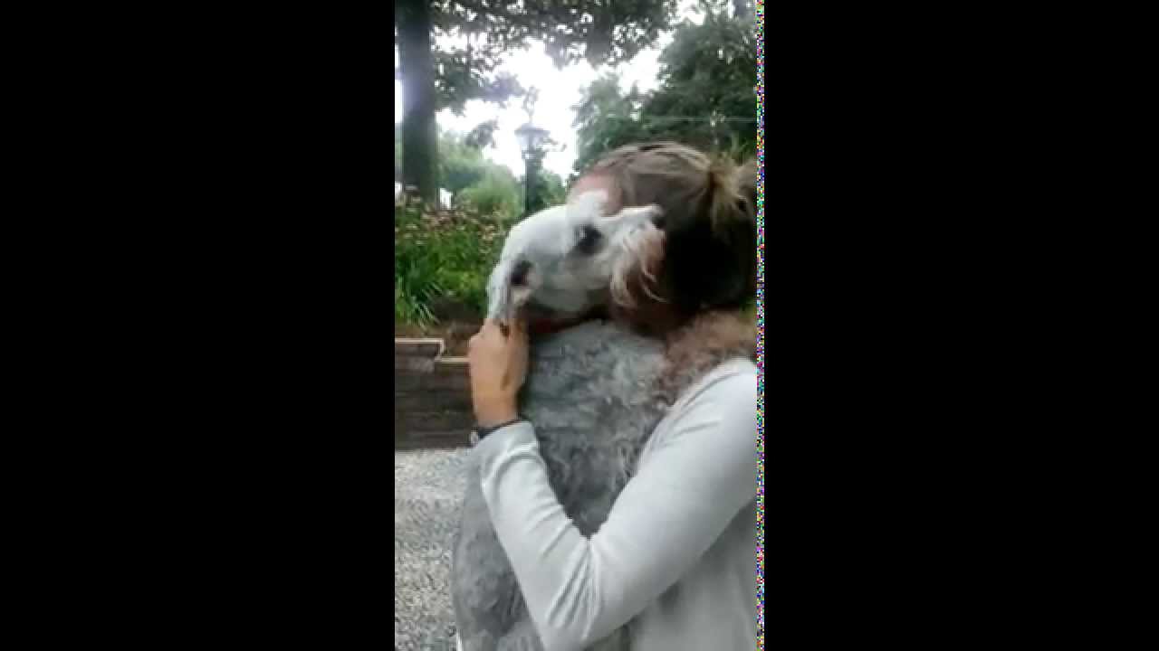 Video: Koira pyörtyy suurenmoisesta ilosta