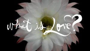 Video: Mitä on rakkaus?