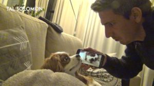 Video: Omistajan kosto kuorsaavalle koiralle – herätti kesken unien koiran oman kuorsauksen avulla