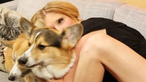 Video: Poikaystävä yllättää tyttöystävänsä corgeilla