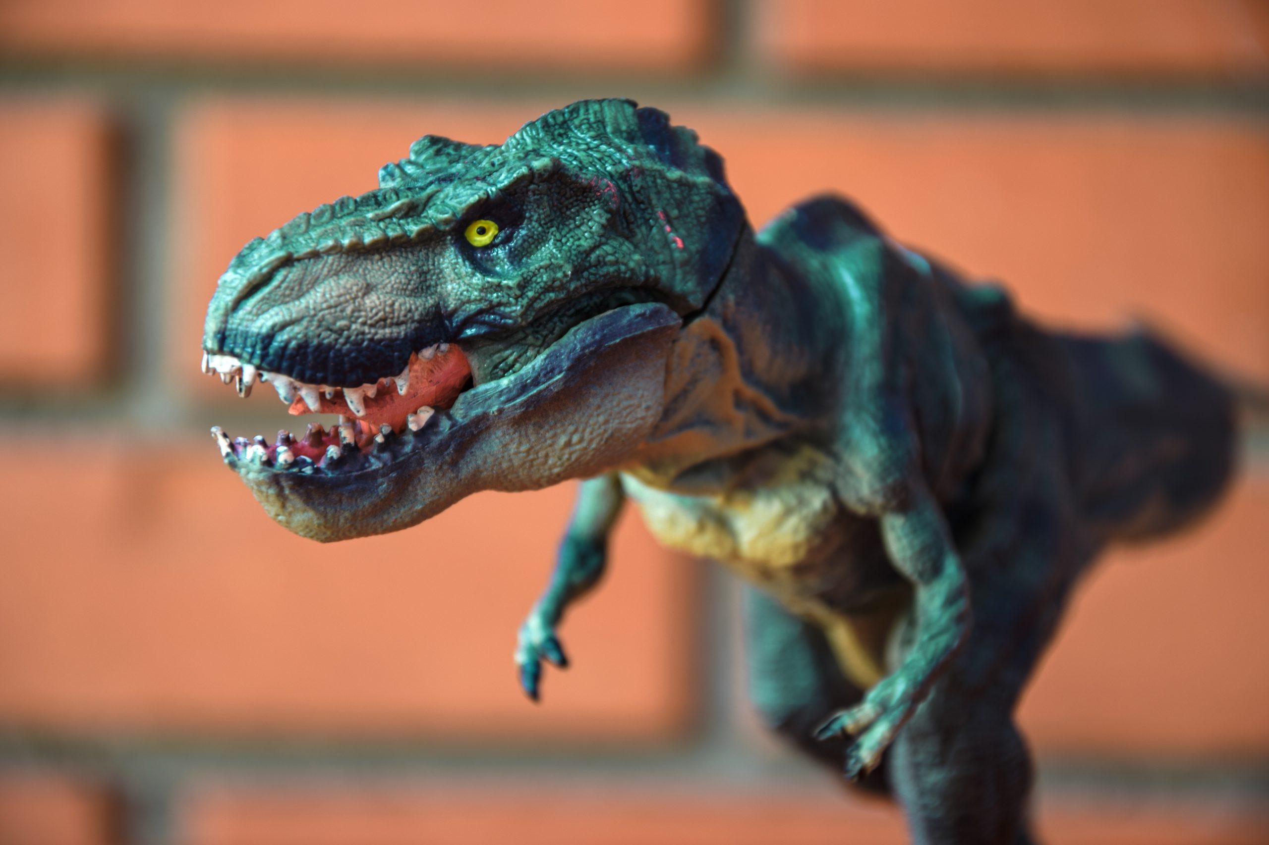 tyrannosaurus-rex-toys-dinosaur-tyrannosaurus-t-rex-kids-toys-810539-pxhere.com