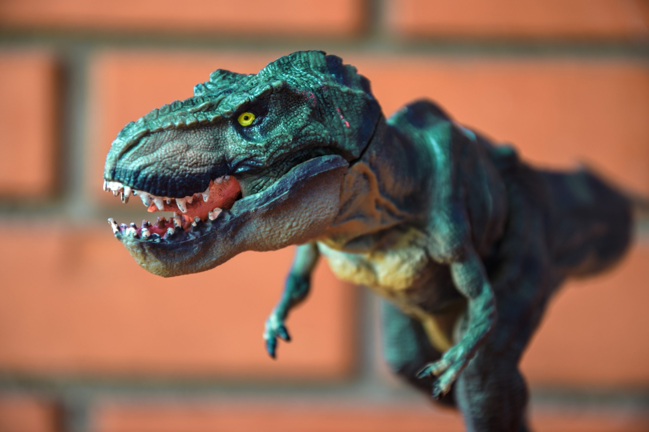 tyrannosaurus-rex-toys-dinosaur-tyrannosaurus-t-rex-kids-toys-810539-pxhere.com_-scaled