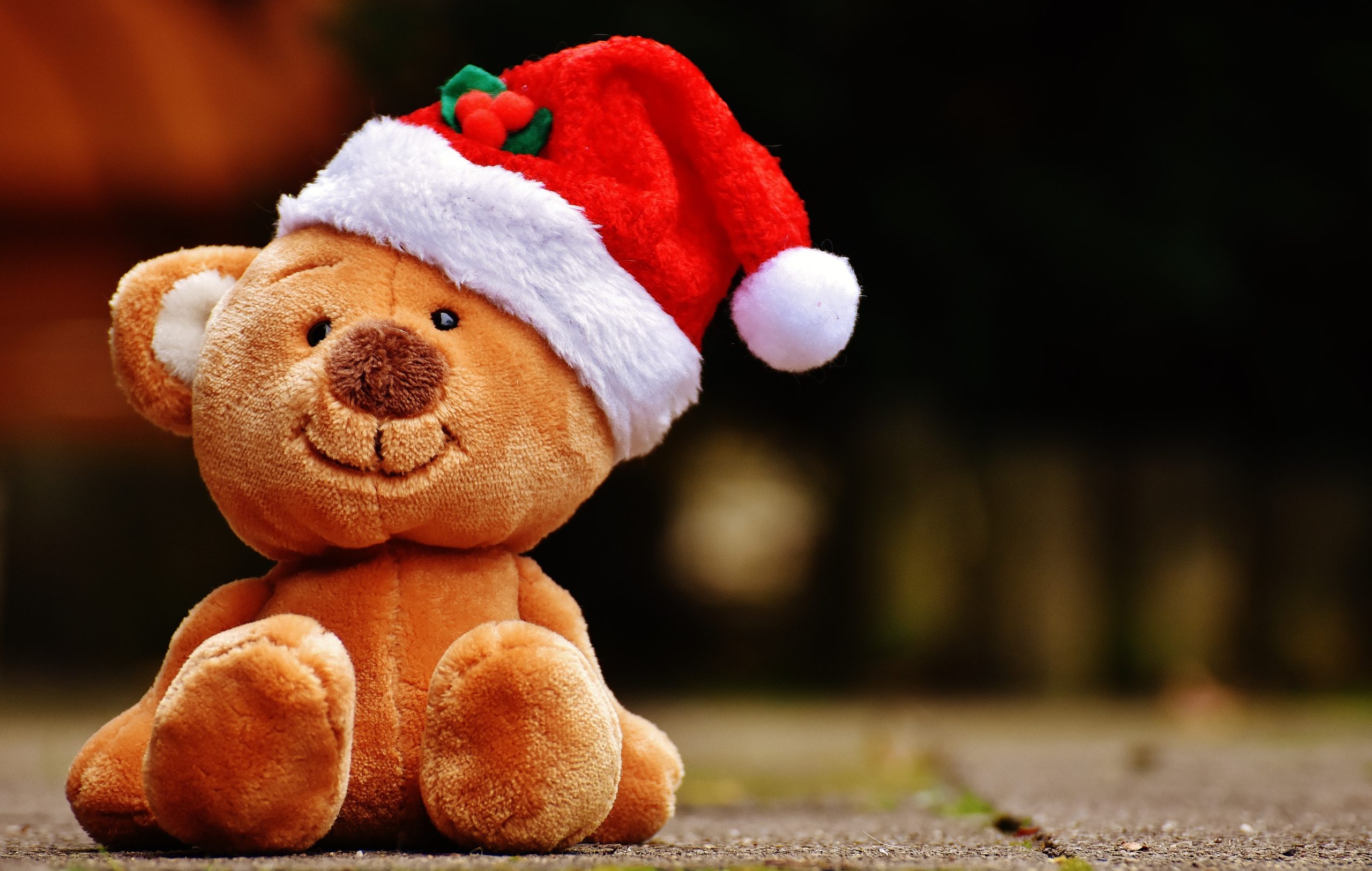 christmas-toy-teddy-bear-santa-hat-funny-teddy-1263567-pxhere.com