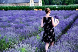 richard-ecsedi-0skXelhV8SM-unsplash