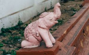 markus-winkler-YmweSU0ERdQ-unsplash