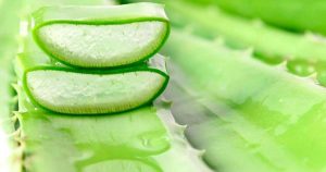 Helppo ohje: valmista kotitekoinen aloe vera -voide, joka hellii ihoa ja tukee kollageenia aloe-vera-voide