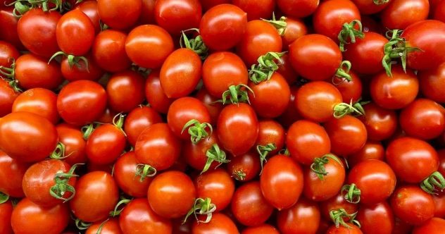 tomaatti