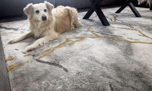 naxos-plyysimatto-ja-koira-33669