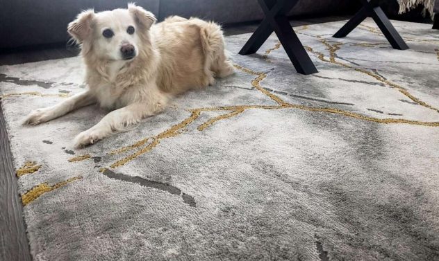 naxos-plyysimatto-ja-koira-33669